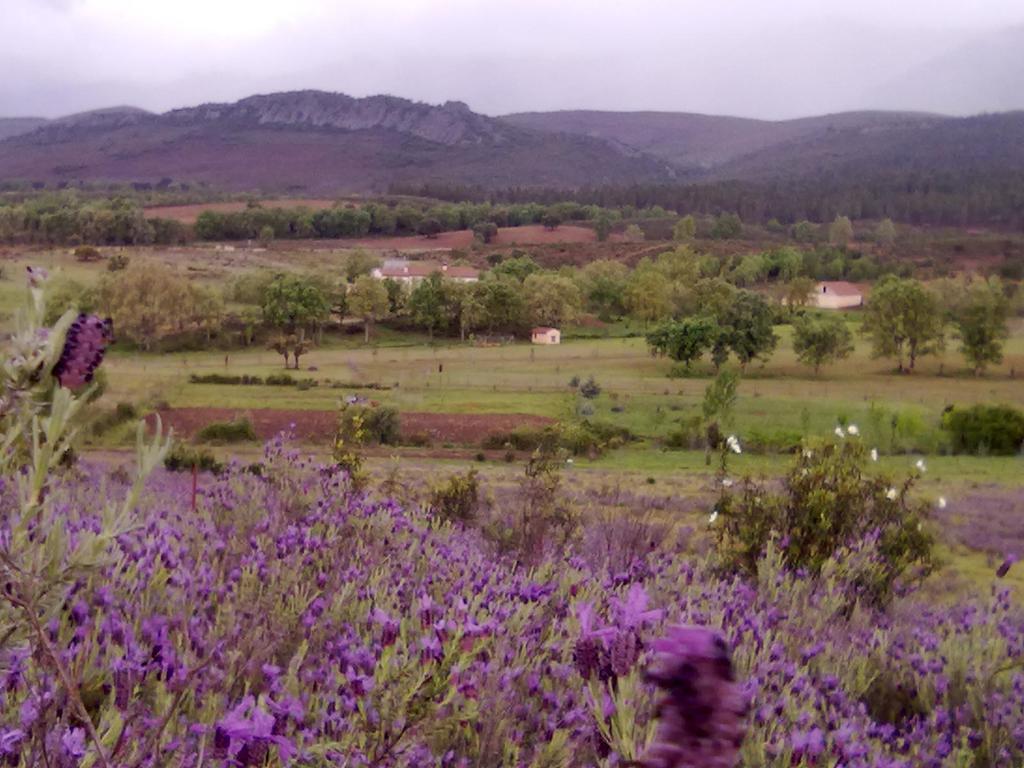 Las Lucias, Experiencias De Ecoturismo Navatrasierra Екстериор снимка